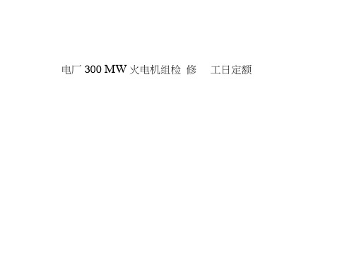 300MW火力发电机组大小修定额标准(20210311103211)