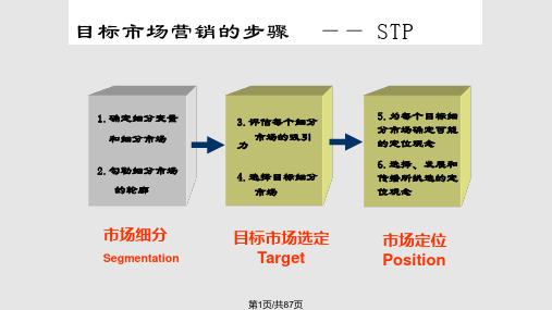 项目市场细分目标市场市场定位STP和案例PPT课件