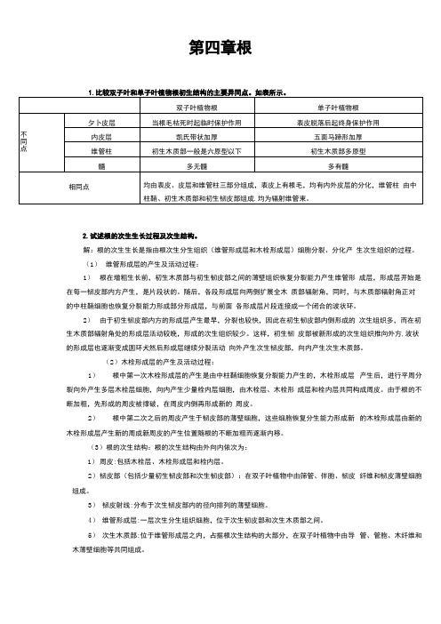 植物学第四章 根 论述题