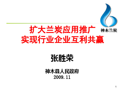 扩大兰炭应用推广实现行业企业互利共赢