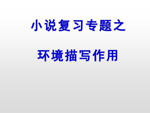 苏教版高中语文复习课件:小说专题复习---环境描写