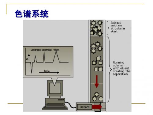 色谱系统