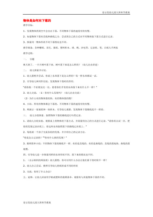 【省示范幼儿园大班科学教案】物体是如何向下落的