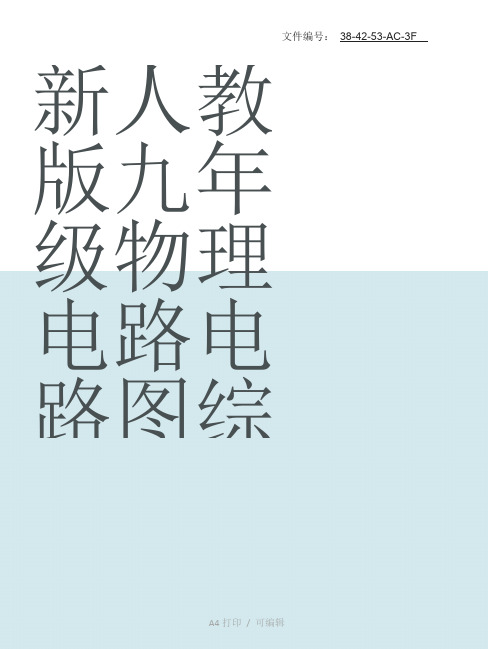 整理新人教版九年级物理电路电路图综合练习题