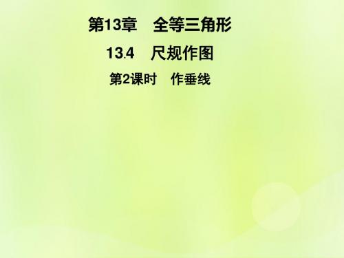 2018秋八年级数学全等三角形13.4尺规作图第2课时作垂线习题课件(新版)华东师大版
