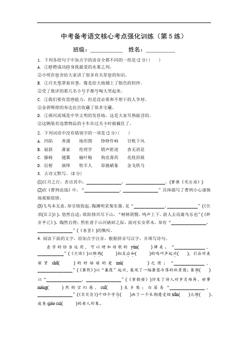 中考备考语文核心考点强化训练(第5练)含答案与解析