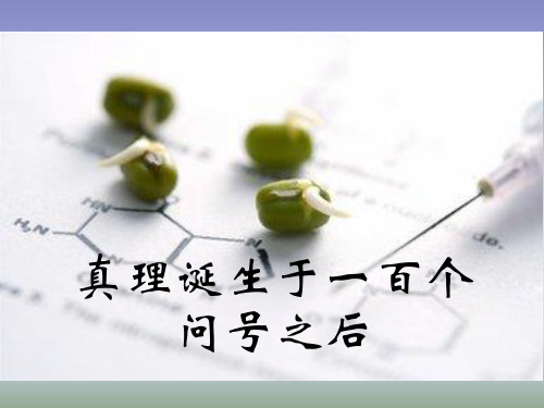 人教版小学六年级语文下册20 真理诞生于一百个问号之后