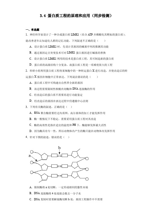 蛋白质工程的原理和应用(同步检测)2023-2024学年高二下学期生物人教版选择性必修3(含解析)