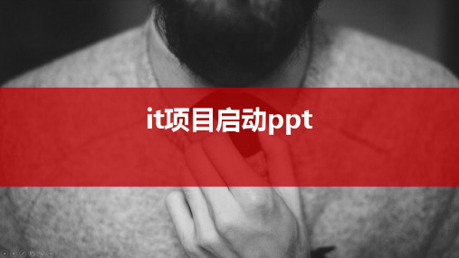 it项目启动ppt