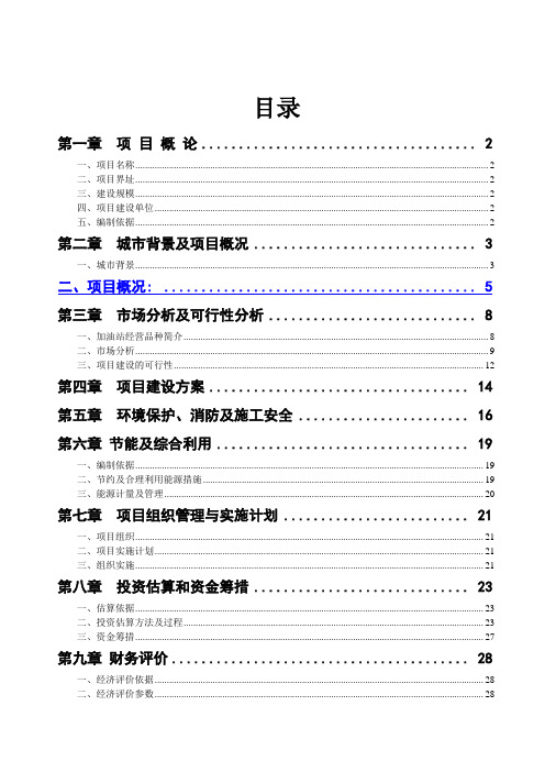 某300吨泵船水上加油站新建项目建设可研报告书