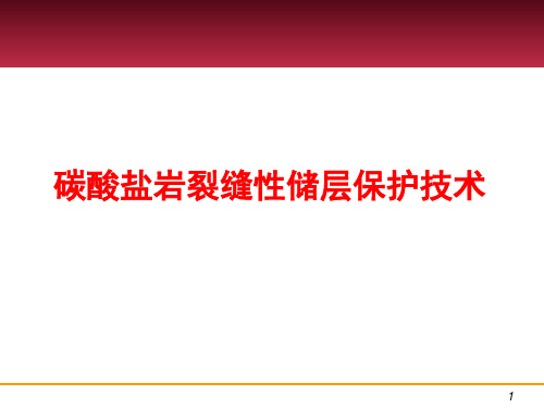 碳酸盐岩裂缝性储层保护技术精品PPT课件