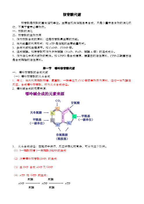 核苷酸代谢《生物化学》复习提要