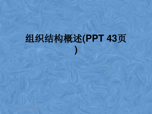 组织结构概述(PPT 43页)