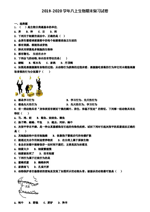 ┃试卷合集4套┃2020年北京市东城区生物八年级(上)期末教学质量检测模拟试题