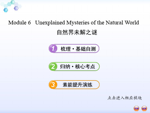 必修4--Module-6外研社高中英语必修四单元6各知识点 精品优选公开课件