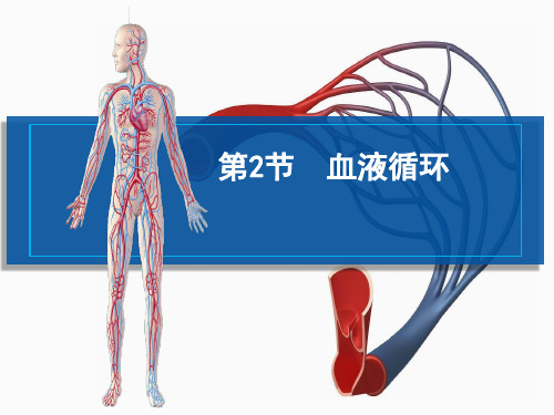 (名师整理)最新北师大版生物7年级下册第9章第2节《血液循环》市公开课一等奖课件