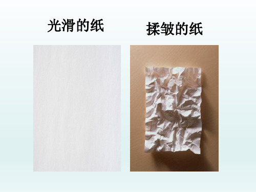 六年级下册美术第十课巧用肌理湘美版 (12)