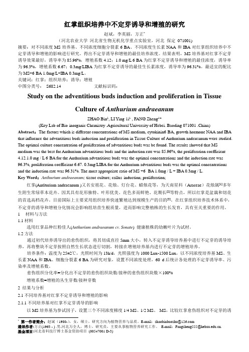 红掌组织培养中不定芽诱导和增殖的研究