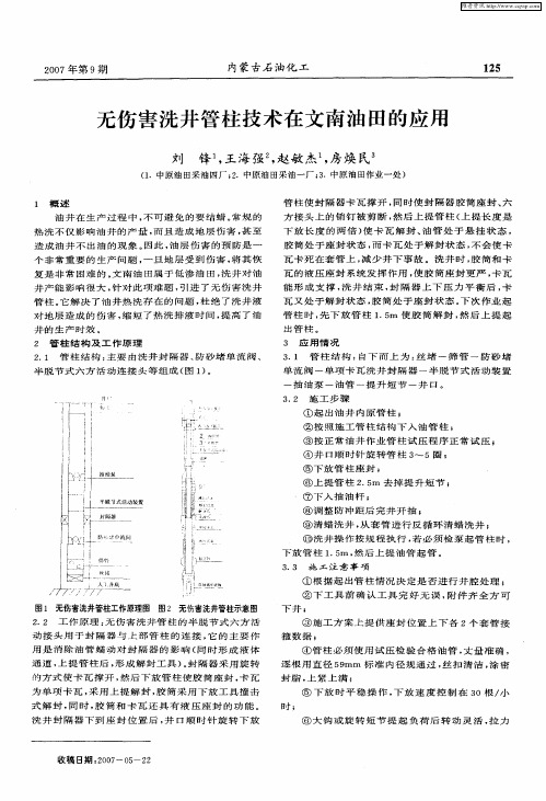 无伤害洗井管柱技术在文南油田的应用