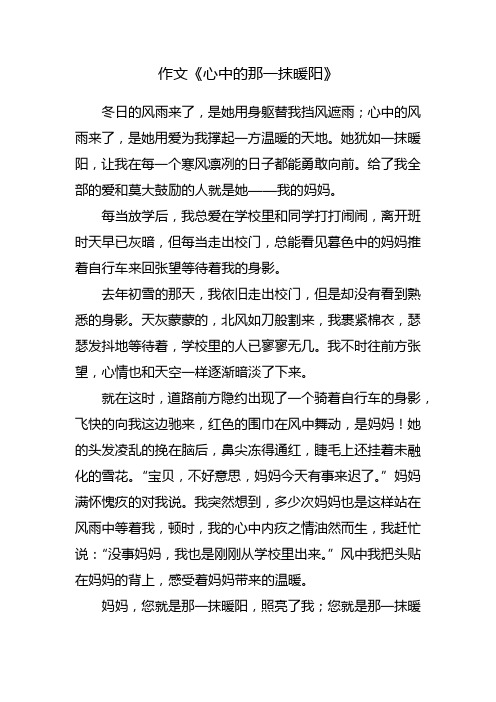 心中的那一抹暖阳作文650字