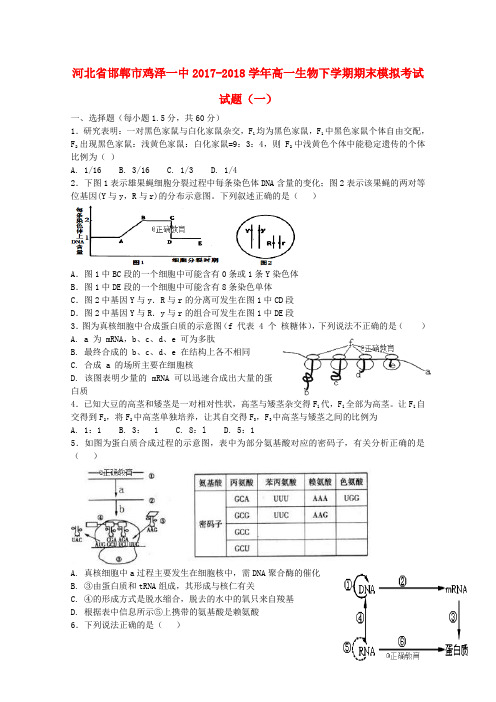 河北省邯郸市鸡泽一中高一生物下学期期末模拟考试试题(一)