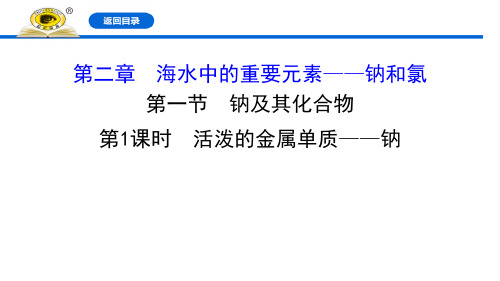 《活泼的金属单质——钠》钠及其化合物精美版课件