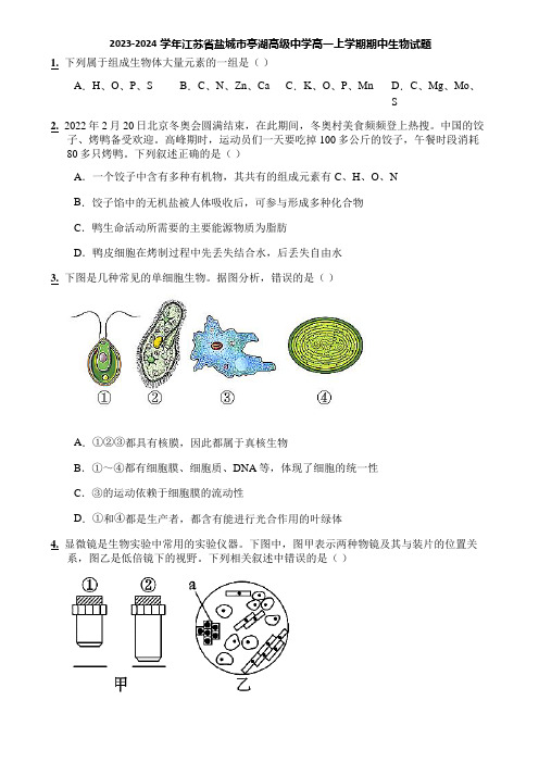 2023-2024学年江苏省盐城市亭湖高级中学高一上学期期中生物试题