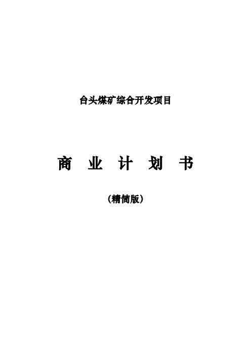 煤矿综合开发项目商业实施计划书