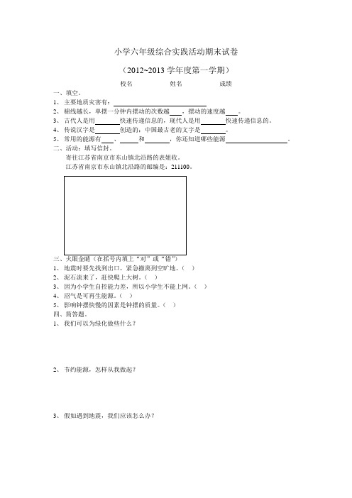 小学六年级综合实践活动期末试卷