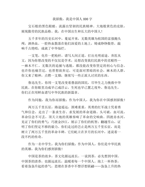 我骄傲,我是中国人作文800字