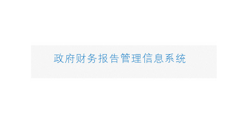 财政部门及单位政府财务报告管理信息系统