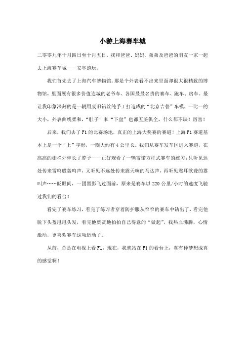 小游上海赛车城_小学三年级作文400字