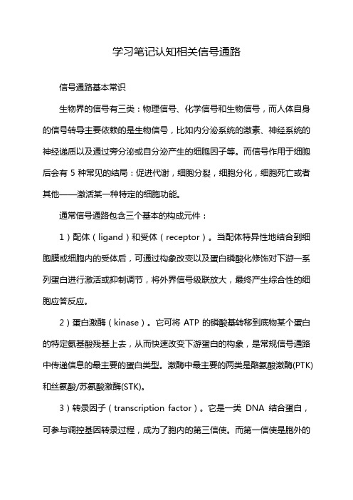 学习笔记认知相关信号通路