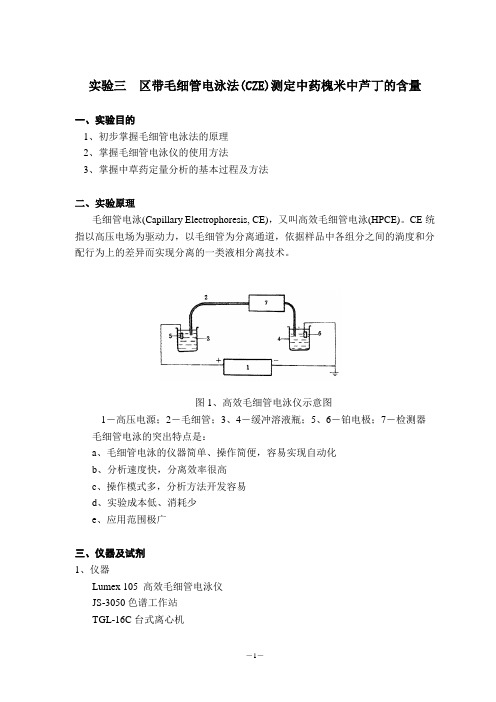 区带毛细管电泳法