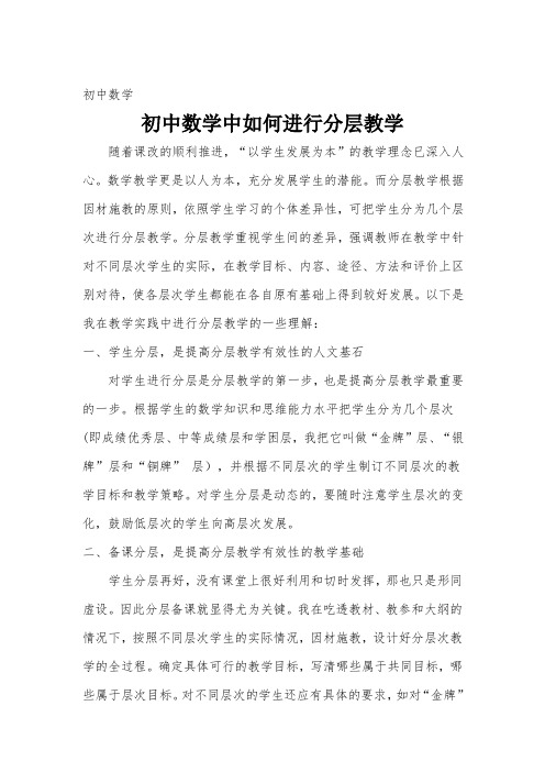 初中数学中如何进行分层教学论文