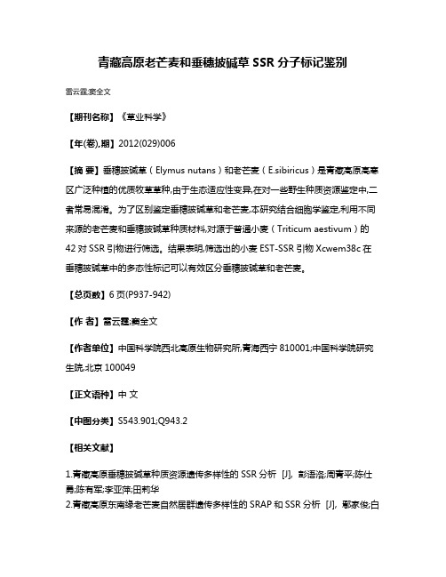 青藏高原老芒麦和垂穗披碱草SSR分子标记鉴别