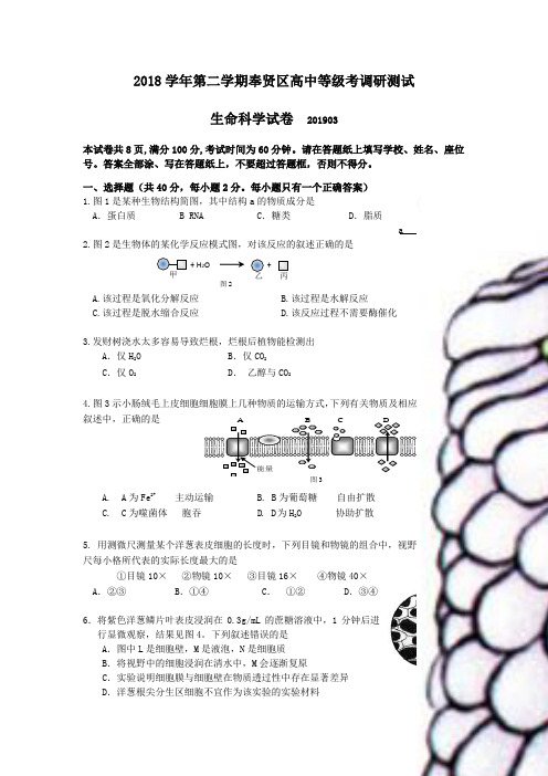 奉贤2019生物二模卷(含答案)