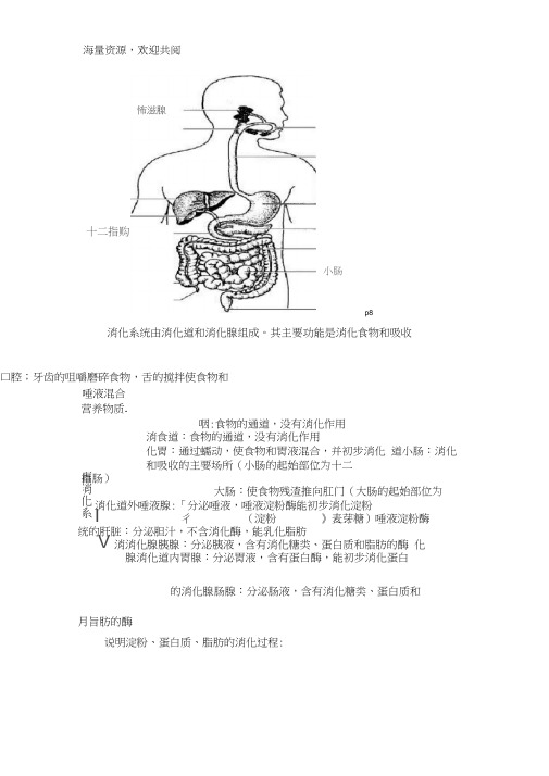 (word完整版)七年级下册生物图