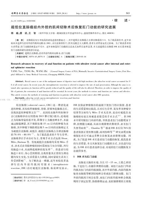 超低位直肠癌经内外括约肌间切除术后恢复肛门功能的研究进展