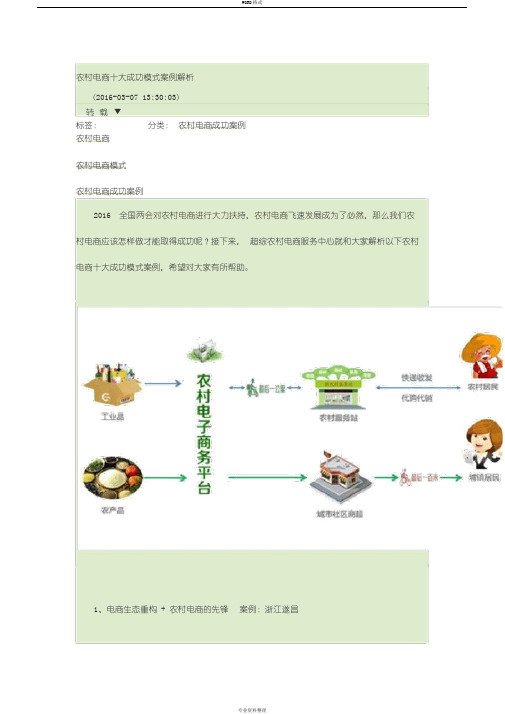 农村电商十大成功模式案例解析