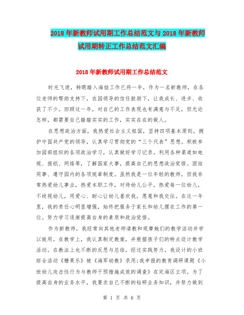 2018年新教师试用期工作总结范文与2018年新教师试用期转正工作总结范文汇编.doc