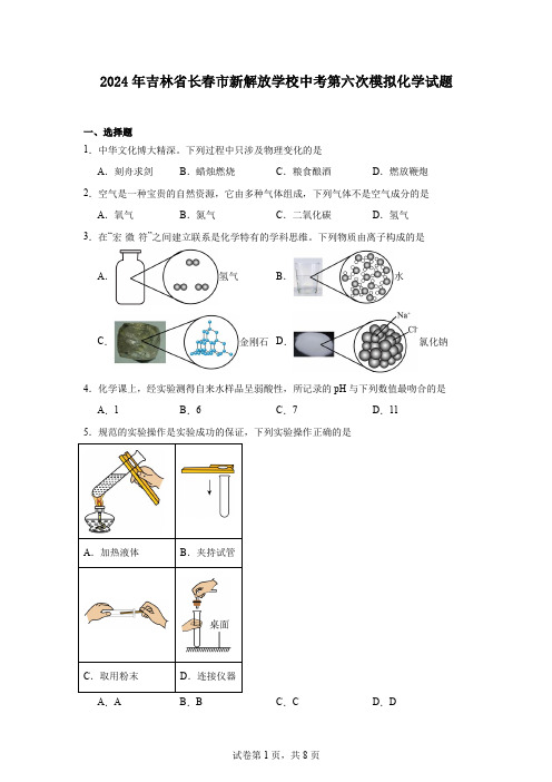 2024年吉林省长春市新解放学校中考第六次模拟化学试题