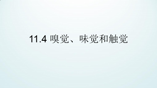 牛津上海版(五四学制)科学七年级上册：11.4 嗅觉、味觉和触觉  课件(共46张PPT)