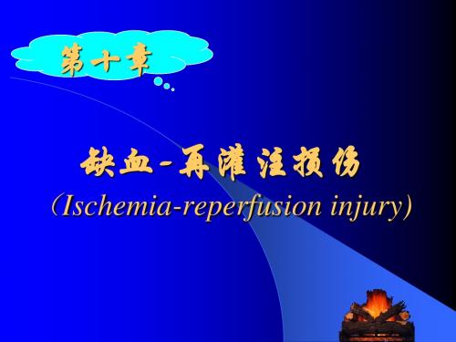 缺血-再灌注损伤 (Ischemia-reperfusion injury)