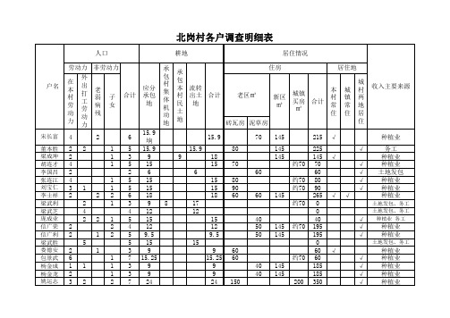 北岗村各户调查明细表