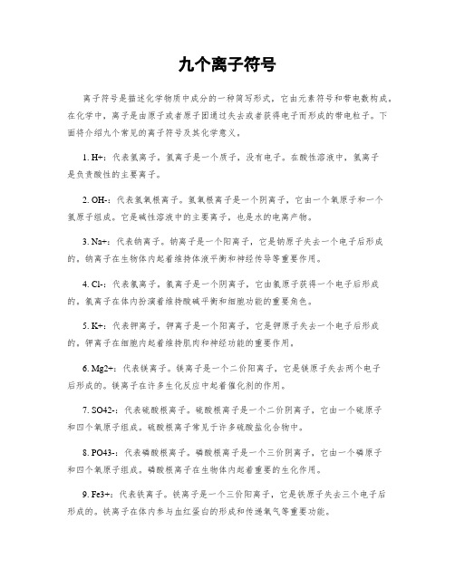 九个离子符号