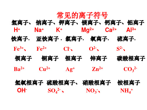 常见的离子符号,化学式