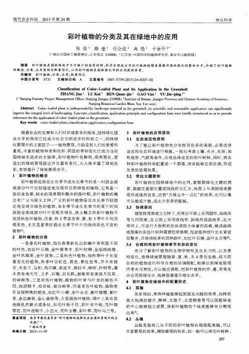 彩叶植物的分类及其在绿地中的应用