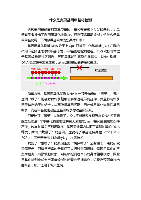 什么是宫颈基因甲基化检测