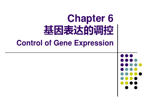 分子生物学Chapter 6 基因表达的调控